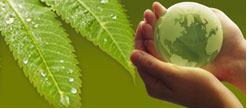 Planet Green Innovation