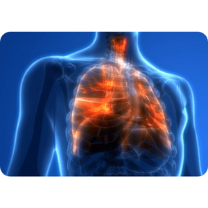 lung-injury-image